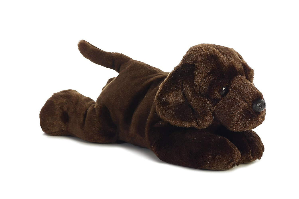 Chocolate Lab - Max
