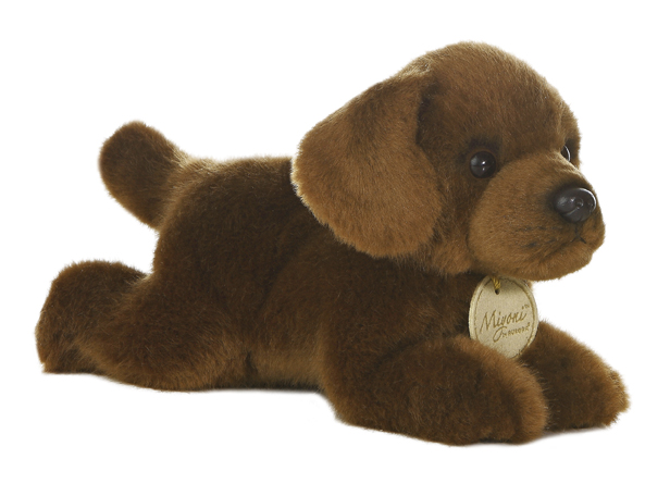 Chocolate Lab - Small