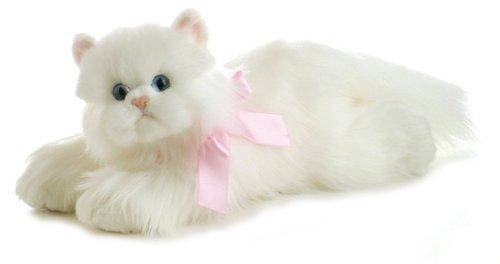Cindy the Cat