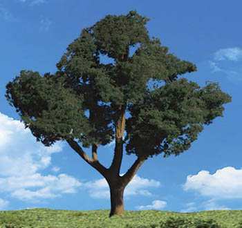 Classics Tree, Cool Shade 1-1/4" to 2" (3cm to 5cm)