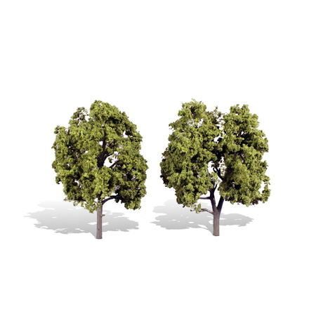 Classics Tree, Early Light 5-6"
