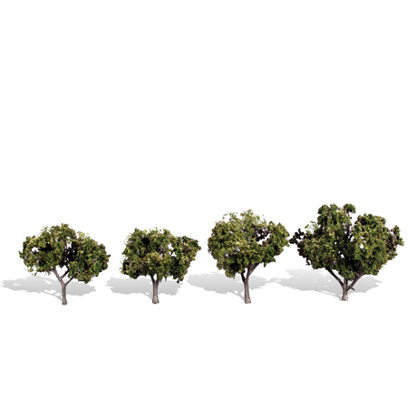 Classics Tree, Sun Kissed 2-3"