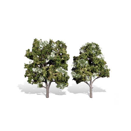 Classics Tree, Sun Kissed 5-6"