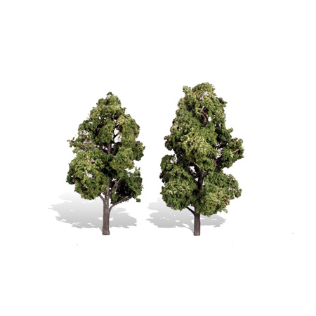 Classics Tree, Sun Kissed 6-7"