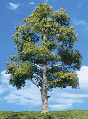 Classics Tree, Waters Edge 1.2