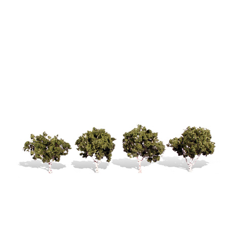 Classics Tree, Waters Edge 2-3