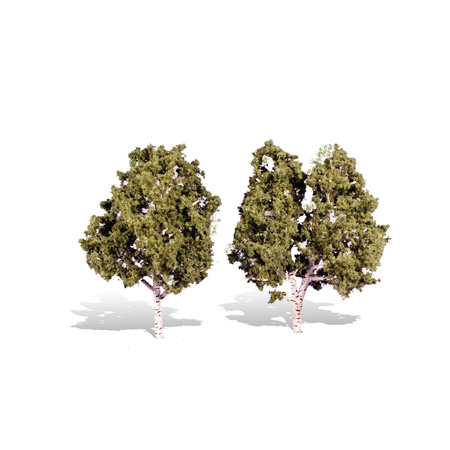 Classics Tree, Waters Edge 5-6"