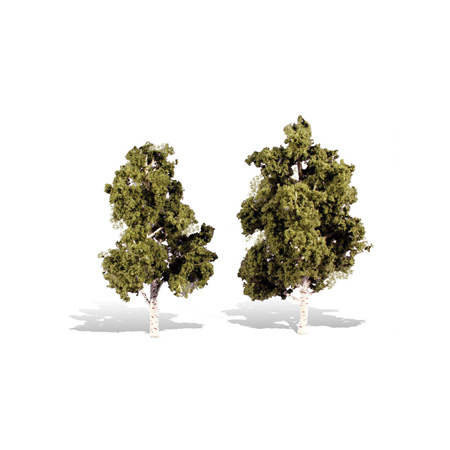 Classics Tree, Waters Edge 6-7"