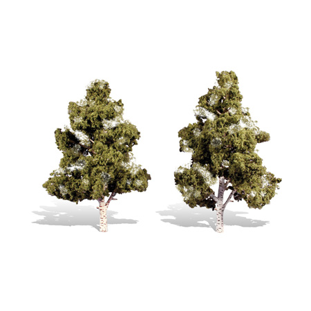 Classics Tree, Waters Edge 7-8"