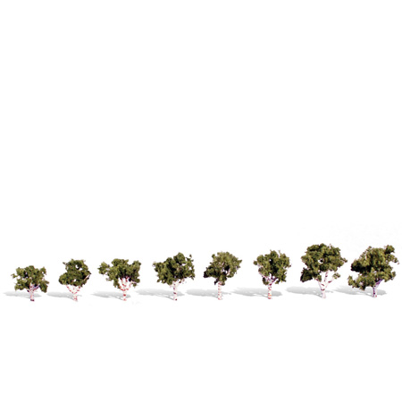 Classics Tree, Waters Edge .75