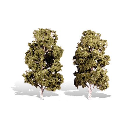 Classics Tree, Waters Edge 8-9"