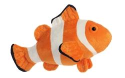 Clown Fish