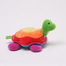 ColorFun Rainbow Racer Turtle
