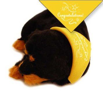 'Congratulations' Bandana for Perfect Petzzz