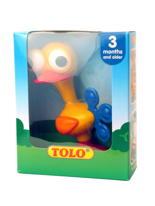 Crazy Eyed Bird