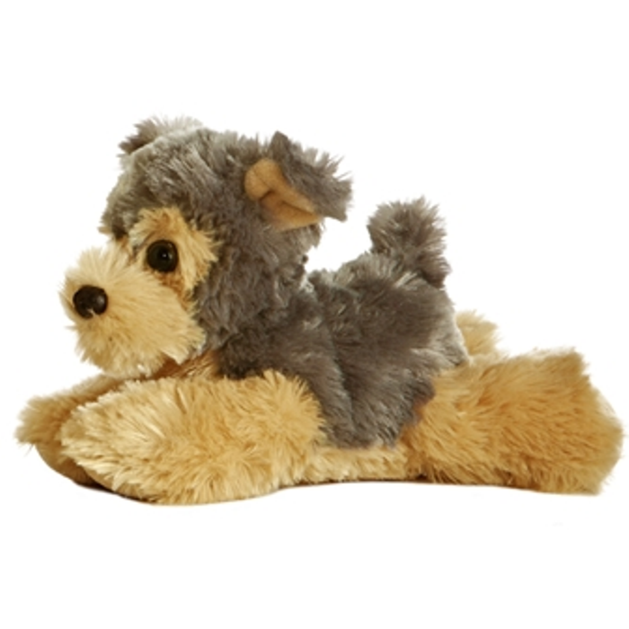 Cutie the Dog