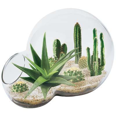 DD-0742 Desert Oasis