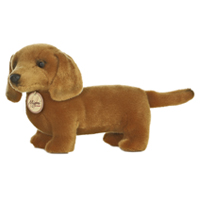Dachshund - Medium