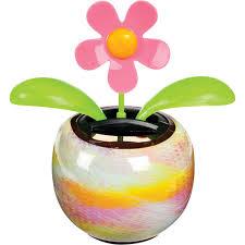 Dancing Solar Flower