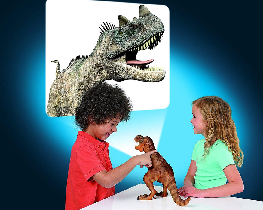 Dinosaur Projector & Room Guard