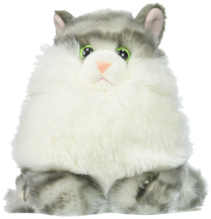 Dumpling Tabby