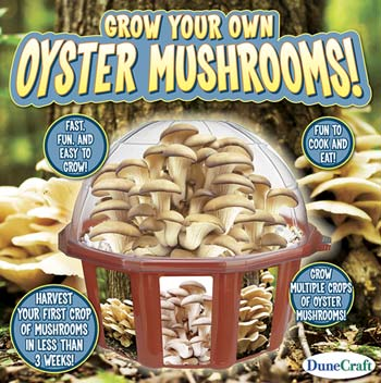 Dunecraft MK-0498 Grow Your Own Oyster Mushrooms