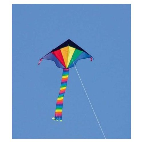 Eco Line Simple Fly Rainbow Kite