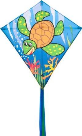Eddy Seaturtle Kite