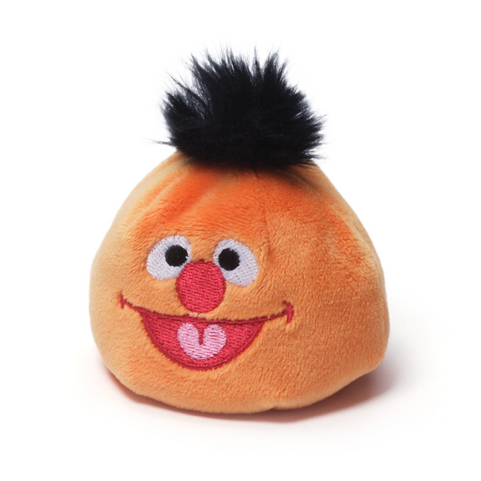 Ernie Beanbag