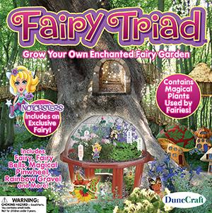 Fairy Triad Terrarium