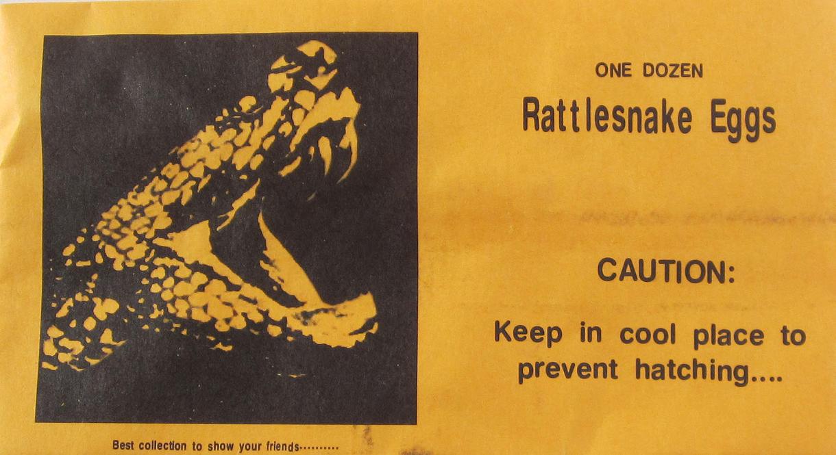 Fake Rattlesnake Eggs Prank