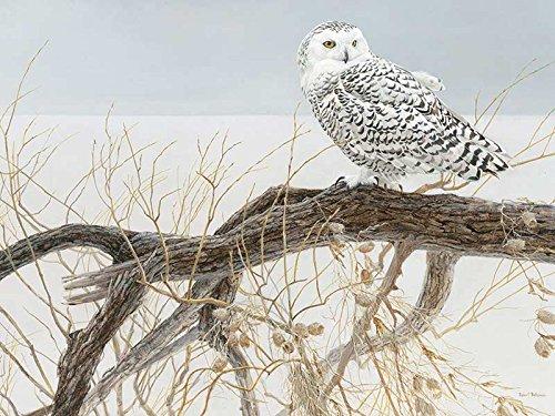 Fallen Willow Snowy Owl 500pc Puzzle