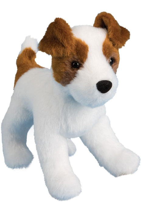 Feisty Jack Russell