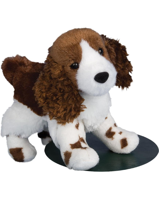 Flair Springer Spaniel