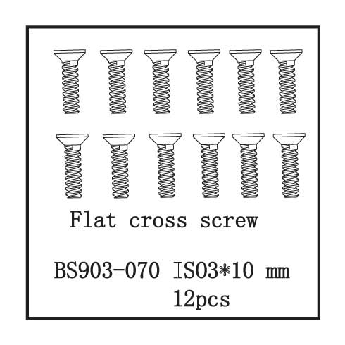 Flat Cross Screw (IS03*10) 12p
