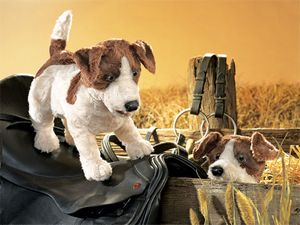 Folkmanis Jack Russell Terrier(Smooth Coat)Hand Puppet