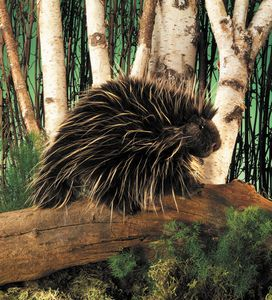 Folkmanis Porcupine