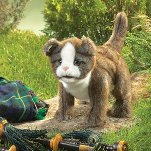 Folkmanis Scottish Fold Kitten