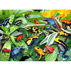 Friendly Frogs 300 pc Puzzle