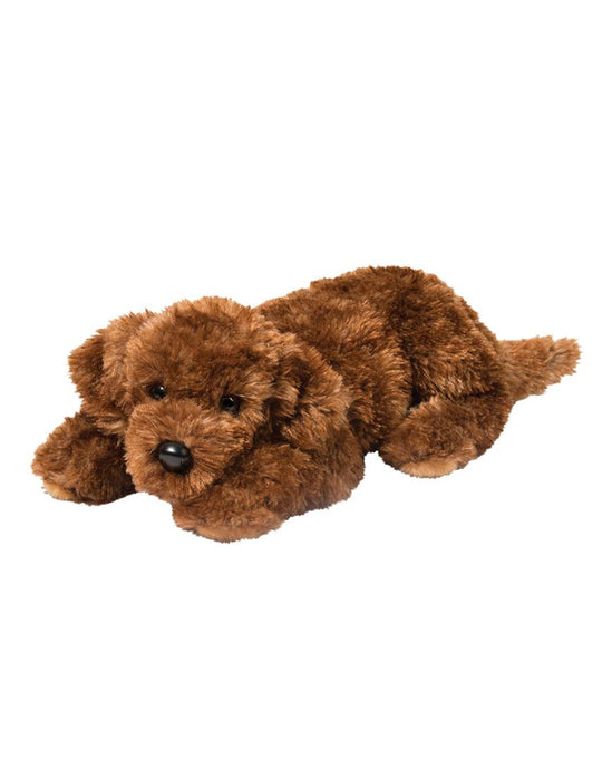 Fudge Chocolate Labradoodle