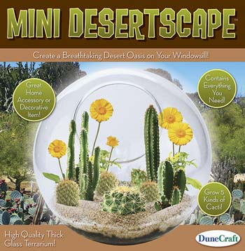 GT-0258 Glass Terrarium Mini Desert