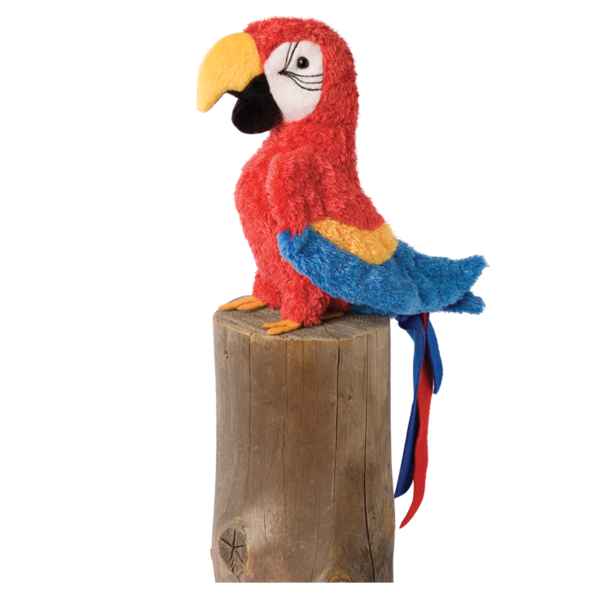 Gabby the Red Parrott