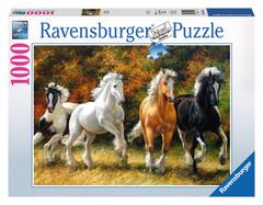 Galloping Horses Puzzle