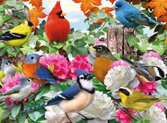 Garden Birds 500 pc
