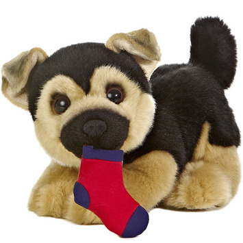German Shepherd with Sock