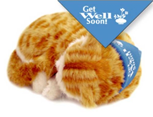 'Get Well Soon' Bandana for Perfect Petzzz