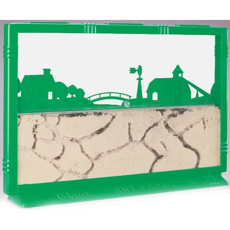 Giant Ant Farm