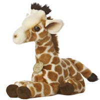 Giraffe Calf