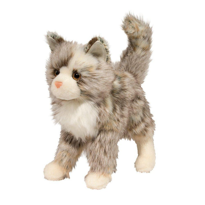Gizmo Mixed Cat