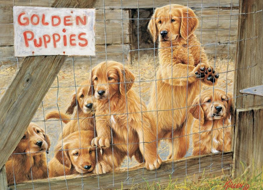 Golden Puppies 500pc Puzzle